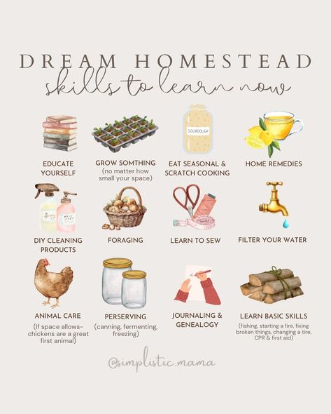 Nicole | simplistic + motherhood | Let's talk homesteading. Do you realize you're able to do so much right now, even if you haven't found your dream homestead yet? You can… | Instagram Homestead Asethic, Cottage Homestead Aesthetic, Homesteading Organization, Homestead Living Aesthetic, Homestead Necessities, Homesteading In An Apartment, Self Sustaining Homestead, Modern Homestead Aesthetic, Homestead Hobbies