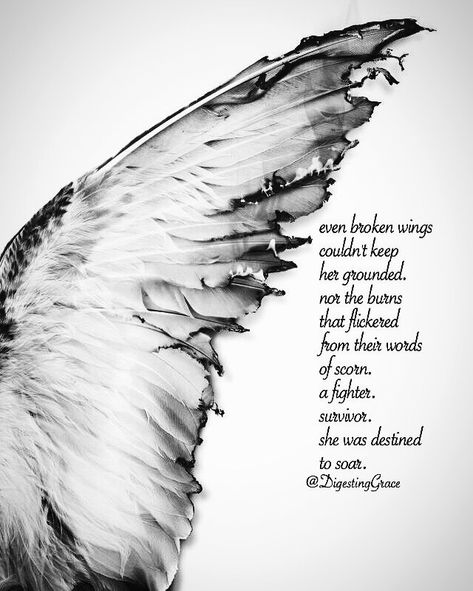 Eagles Quotes, Dark Angel Tattoo, Phoenix Quotes, Words Of Condolence, Warrior Angel, Wings Quotes, Fierce Quotes, In Loving Memory Quotes, Summer Magic