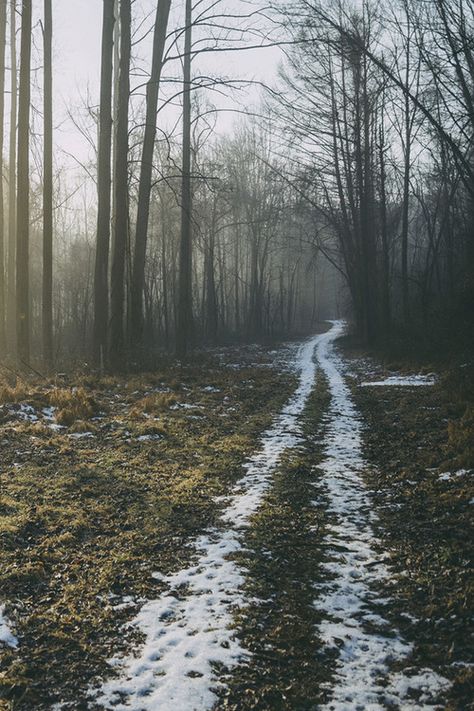 forest road + melting snow #nature #photography White Forest, Camping Photography, Belle Nature, Forest Path, Forest Road, Dirt Road, Back Road, Dark Forest, Camping Hacks