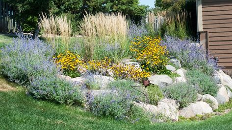 Garden Planting Landscaping Minneapolis Minnesota Landscape, Minnesota Landscaping, Living Pool, Stormwater Management, Natural Landscaping, Landscaping Business, Dream Landscape, Landscape Maintenance, Landscape Construction