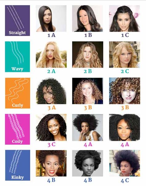 Hair Type Chart, Hair Chart, Haircut Types, Curly Hair Types, Curly Hair Updo, Types Of Hair, Curly Hair Inspiration, Curly Hair Routine, Curly Hair With Bangs