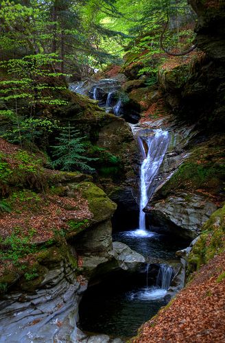 Falls  of Acharn, Kenmore/Loch Tay, Perthshire, Scotland by SS1 Design, via Flickr Fairy Court, Waterfall Photos, Perthshire Scotland, Mountain Streams, Beautiful Scotland, Scottish Landscape, Beautiful Waterfalls, Inverness, Beautiful Places In The World