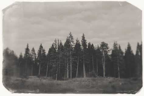 Old Landscape Photos, Old Landscape Photography, Forest Vintage, Polaroid Photography, Photo Landscape, Artistic Wedding Photography, Bath Uk, Forest Photos, Vintage Polaroid