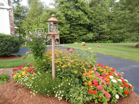 Lamp Post Flower Bed, Lamp Post Flower Bed Ideas, Flower Bed Around Light Pole, Garden Lamp Post Ideas, Lamp Post Landscaping, Front Yard Lighting, Front Driveway, Garden Lamp Post, Mailbox Landscaping