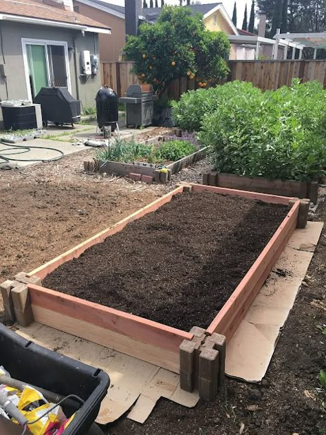 Happy Easter! Spring is in full swing, and we will be planting Annie’s tomato seedlings really soon. I spent my Easter Sunday building a couple of raised garden beds / planter boxes in our backyard. Here’s a view of the first bed after I got done: Let me show you step by step how I … Continue reading How I Built My Raised Garden Bed → Building Above Ground Garden Raised Beds, Pine Raised Garden Beds, Short Raised Garden Bed, How To Build A Raised Garden Bed Diy Planter Boxes, Cheap Raised Flower Beds, Raised Garden Bed With Pavers, Inexpensive Raised Garden Beds Diy, Diy Raised Garden Bed Cheap Easy, Easy Raised Beds