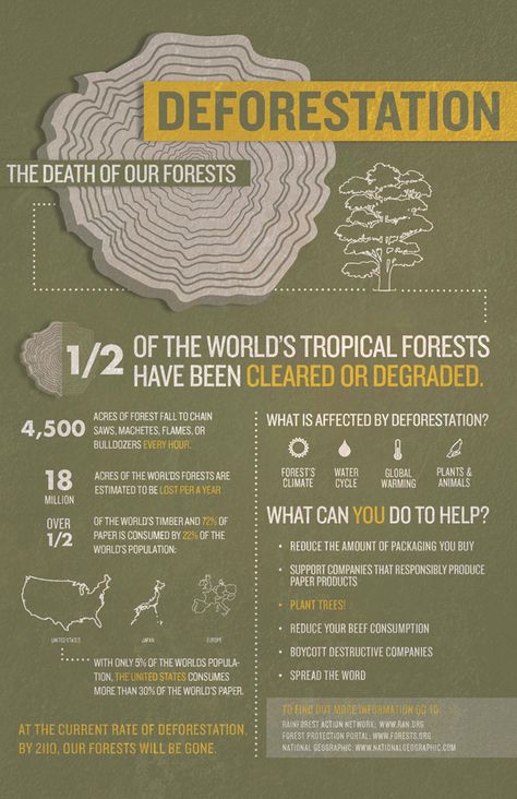 Earth Day 2014: Deforestation Facts #infographics #layout #earthday Deforestation Facts, Save Our Earth, Environmental Education, Environmental Awareness, Environmental Issues, Environmental Science, Save Earth, Earth Science, Earth Day