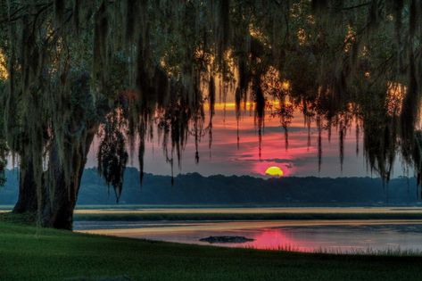 Bluffton South Carolina, South Carolina Beaches, Beaufort Sc, Photography Kit, Carolina Beach, Walk On The Wild Side, New River, Spanish Moss, Types Of Photography