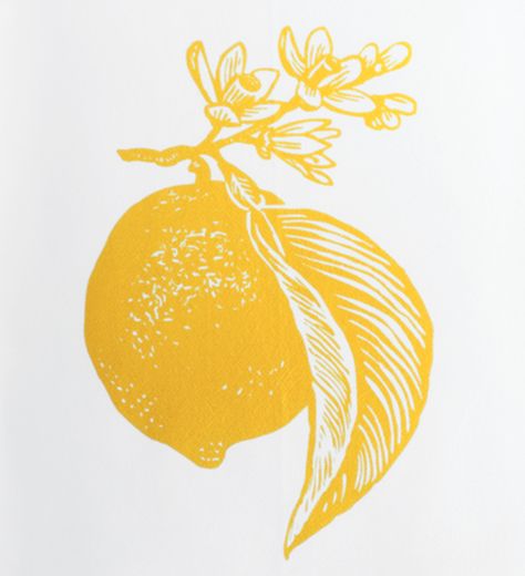 Lemon - linocut - Rigel Stuhmiller, U.S.A. Lemon Lino Print, Lemon Linocut, Lemon Illustration Design, Fruit Linocut, Lemon Art Illustration, Linocut Poster, Lemon Graphic, Lemon Illustration, Lemon Design