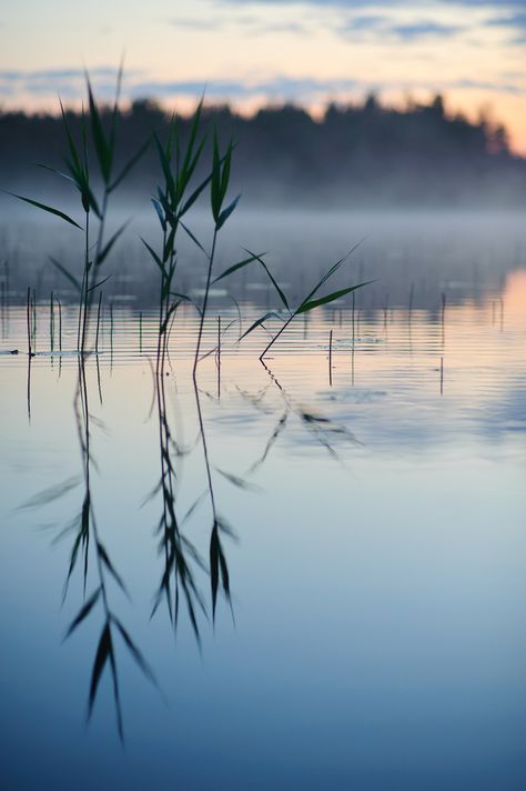 Matka Natura, Alam Yang Indah, Helsinki, Belle Photo, Nature Beauty, Beautiful World, Beautiful Landscapes, Wonders Of The World, Mother Nature