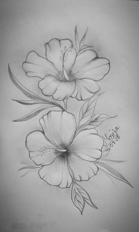 Assalamu Alaikum everyone.. Here I'm new... Hope you like my pencil sketch. It’s my old pencil sketch..plz visit my YouTube channel. Gumamela Drawing, Gumamela Flower Drawing, Gumamela Tattoo, Gumamela Flower, Drawing Easy Pencil, Flower Sketch Pencil, Sketch It, Flower Sketch, Hope You