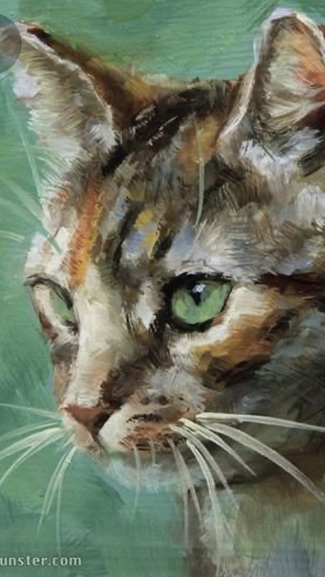 Breathtaking Cat Oil Painting - Personalized Pet Painting Cat Oil Painting, Pet Portrait Paintings, Cat Portrait Painting, Cats Art Drawing, Watercolor Cat, Arte Animal, Cat Portraits, Painting Art Projects, Cat Painting