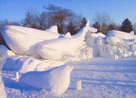 Whales Snow Sculpture Ice Art, Snow Sculptures, Ice Castles, Snow Art, Snow Fun, Sand Sculptures, Ice Sculptures, Sand Art, Snow And Ice