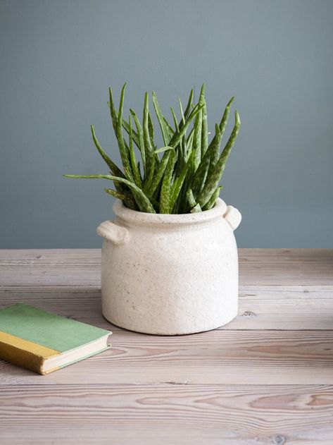 Grey Vases, Stone Vase, White Pot, Crackle Glaze, Ceramic Pots, Hanging Pots, Large Pots, Wall Planter, Bunch Of Flowers