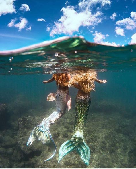 Two Mermaids, Swimming In The Ocean, Mermaid Photography, Mermaid Cove, Mermaid Photos, Fantasy Mermaids, Real Mermaids, Mermaid Pictures, Mermaid Aesthetic