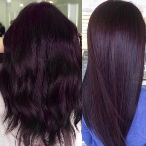 Proof That "Eggplant" Is the Hair Color Trend That Looks Sexy on Everyone Eggplant Hair, Pelo Color Borgoña, Pelo Color Vino, Wine Hair Color, Kort Bob, Hair Color Plum, Winter Hair Colors, Rambut Brunette, Dark Purple Hair