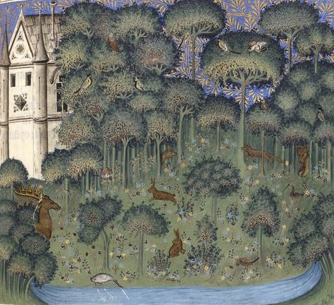 Enchanted Island, Medieval Paintings, Book Of Hours, Medieval Manuscript, Art Et Illustration, Art Antique, Arte Popular, Medieval Art, Illuminated Manuscript