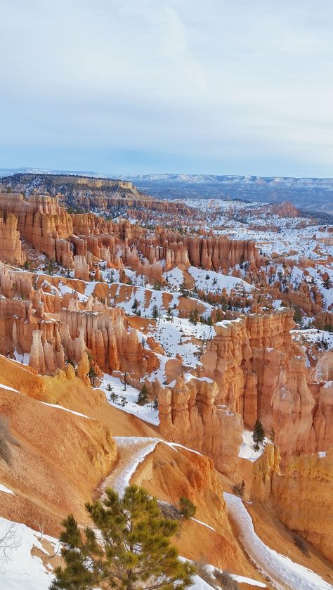 Voyageurs National Park Winter, Utah Wallpaper, Bryce Canyon National Park Hikes, Utah Aesthetic, Winter Vacation Ideas, Winter Photography Nature, Usa Nature, Pictures Winter, Road Trip Travel