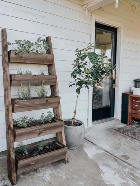 patio with a lemon tree and a leaning herb garden Ladder Planter, Patio Herb Garden, Oasis Design, Garden Ladder, Herb Garden Pallet, Flowers Creative, Outdoor Herb Garden, Herb Wall, Diy Herb Garden