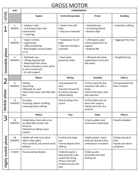 Nce Prep, Developmental Checklist, Infant Lesson Plans, Behavior Plans, Development Milestones, Pediatric Physical Therapy, Pediatric Occupational Therapy, Pediatric Therapy, Gross Motor Activities