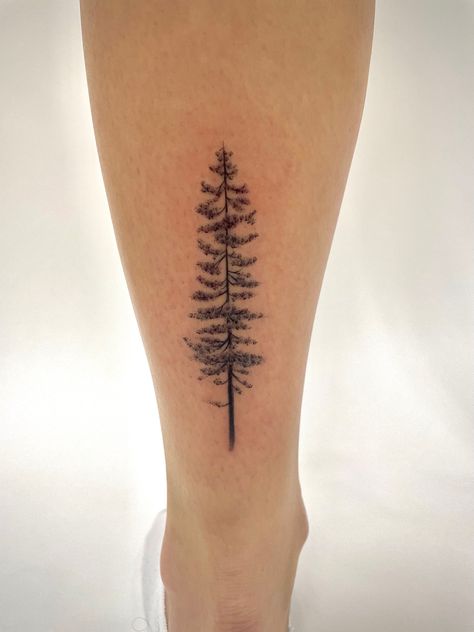 Back of ankle jackpine tree tattoo womans Jackpine Tattoo, Fine Line Redwood Tree Tattoo, Minimalist Redwood Tree Tattoo, Norfolk Pine Tree Tattoo, Alpine Tree Tattoo, Red Wood Tattoo, Norway Pine Tattoo, Western Hemlock Tattoo, Redwood Tattoo Small