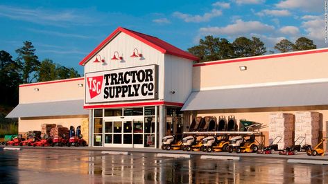 Cat Remedies, Tractor Supply Company, Customer Survey, Hello People, Farm Store, Survey Sites, Company Gifts, Garden Maintenance, College Station