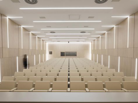 Chambers of Handicrafts - Trento, Italy - LAMM Small Lobby, Conference Room Design, Auditorium Design, Building Lobby, Design University, Interior Kantor, Multipurpose Hall, Function Hall, University Architecture