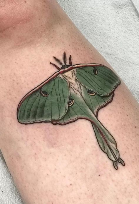 What Are The Different Meanings Of Moth Tattoos? Moth Tattoo Meaning, Lunar Moth Tattoo, Traditional Moth Tattoo, Luna Moth Tattoo, Moth Tattoo Design, Shin Tattoo, Private Tattoos, Bug Tattoo, Insect Tattoo