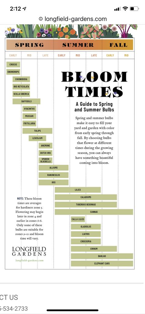 Flower Garden Plans, House Florida, Cut Flower Farm, Summer Bulbs, Time Planning, Flower Bulbs, Garden Bulbs, Cut Flower Garden, Have Inspiration