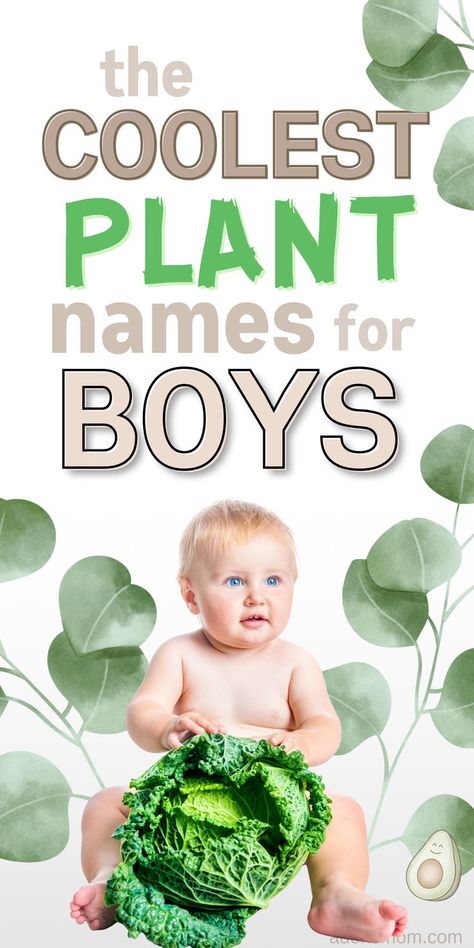 the coolest plant names for boys - picture of baby boy surrounded by green leaves and holding a big head of lettuce Plant Baby Names, Nature Names For Boys, Earthy Boy Names, Boy Name Meanings, Nature Names, Names For Boys List, Plant Names, Names For Boys