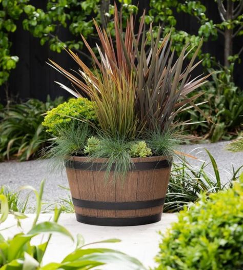 Whiskey Barrel Planter Flowers, Barrel Planter Ideas, Barrel Garden Planters, Wine Barrel Garden, Wine Barrel Decor, Whiskey Barrel Planter, Wine Barrel Planter, Plastic Planter, Whisky Barrel