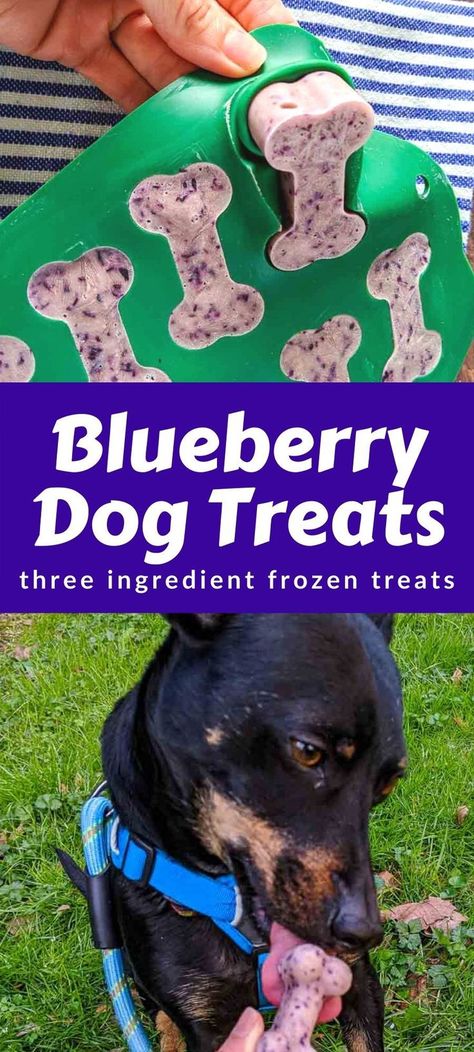 Ice Cube Dog Treats, Puppy Ice Cube Treats, Diy Frozen Dog Treats Ice Cubes, Frozen Dog Treats Homemade Ice Cube Trays, Dog Treats Mold Recipes, Dog Treat Molds, Frozen Blueberry Dog Treats, Healthy Frozen Treats For Dogs, Fancy Dog Food