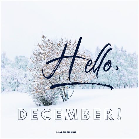 ❄️ Hello, December! ❄️ Chapter 12 of 12. May the last one, be the BEST one!  #HappyHolidays #AStarIsBorn #HelloDecember Chapter 12 Of 12 December, December Chapter 12 Of 12, Hello December, 12 December, A Star Is Born, Be The Best, Last One, Happy Holidays