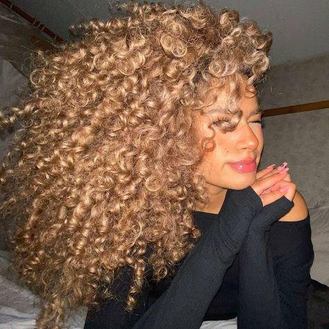 Blonde Curly Hair Natural, Braid Hairstyles For Long Hair, Blonde Highlights Curly Hair, Box Braid Hairstyles, Dyed Curly Hair, Highlights Curly Hair, Honey Brown Hair, Brown Curly Hair, Curly Hair Problems