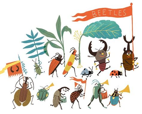 A cute bug party, drawn by Huang Linghsing Beetle Illustration, Arte Doodle, Motifs Textiles, Bug Art, Grasshoppers, Insect Art, Disney Memes, Childrens Illustrations, Beetles