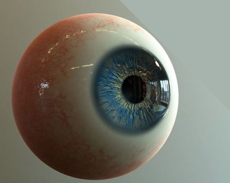 Round Pfp Eye, Round Pfp 3d, Eye Pfp, Eye Anatomy, Eye Balls, 3d Eye, Face Anatomy, Cinema 4d Tutorial, Eye Ball