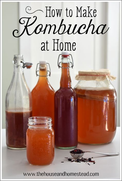 Kombucha is one of the healthiest drinks on the planet (besides water), but storebought kombucha is SO expensive! Learn how to make kombucha at home for a fraction of the price, plus get as creative as you like with custom flavours! Homemade kombucha is healthy, affordable, delicious and easy to make. Here's everything you need to know to get started! #homemadekombucha #howtomakekombucha #kombucharecipe Green Tea Kombucha, Make Your Own Kombucha, Diy Kombucha, Make Kombucha, Kombucha Benefits, Kombucha Flavors, How To Brew Kombucha, Kombucha Recipe, Homemade Kombucha