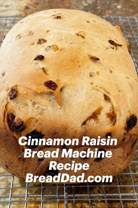 Cinnamon raisin bread on wire cooling rack Cinnamon Raisin Bread Machine, Bread Machine Cinnamon Raisin Bread, Cinnamon Bread Machine, Bread Machine Recipes Healthy, Raisin Bread Recipe, Cinnamon Raisin Bread Recipe, Bread Machine Recipes Sweet, Recipe With Ginger, Easy Bread Machine Recipes