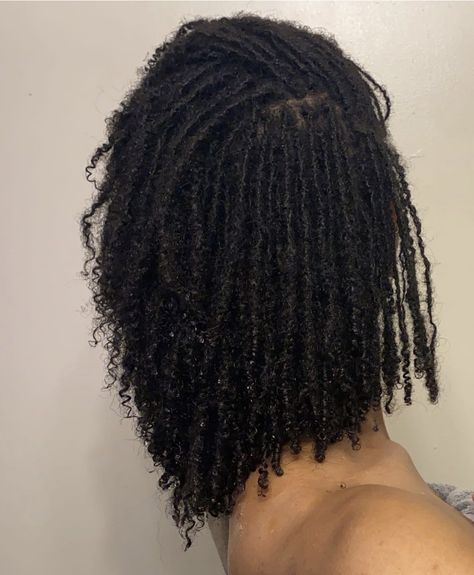 Micro Locks Curly Ends, Curly Micro Locs, Medium Micro Locs, Micro Locs Starter With Extensions, Micro Locs With Loose Ends, Small Traditional Locs Women, Types Of Locs 4c Hair, Microlocs Curly Ends, Thick Micro Locs