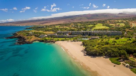 The Best New Hotels in Hawaii | Hawaii Magazine Mauna Kea Beach Hotel, Swimming Pool Service, Hawaii Magazine, Hawaii Big Island, Ocean Front Property, Marriott Resorts, Hawaii Hotels, Mauna Kea, Hawaii Volcanoes National Park