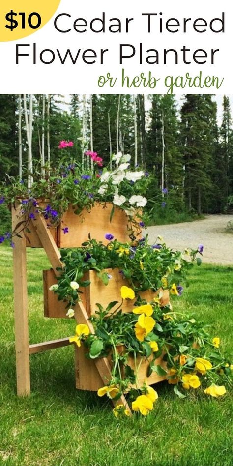 We decided to keep the cedar natural so the step that usually takes the most time, the finishing, didn't even need to happen. The final result is a beautiful planter that is so versatile. I thought herbs would be nice, or instead of 2 traditional planters on each side of the sidewalk, two of these would be fun and give a different look. If you do decide to finish it, paint or stain goes a long way. A simple project with many options, that's what I'm talking about! Cedar Fence Pickets, Herb Garden Planter, Outdoor Herb Garden, Garden Boxes Diy, Tiered Planter, Fence Pickets, Diy Herb Garden, Garden Planter Boxes, Diy Planter Box