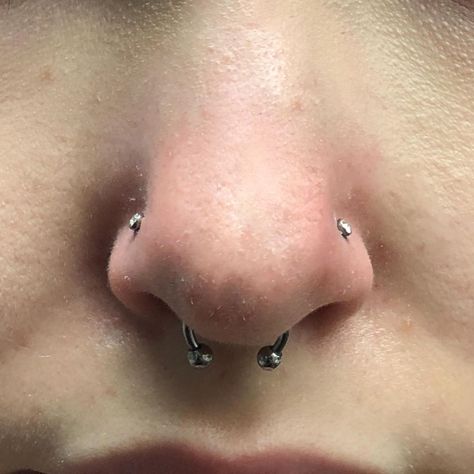 Dual Nostril Piercing, Wide Nose Piercing, Dual Nose Piercing, Matching Nose Piercing, Double Pierced Nose, Septum With Double Nose Piercing, Nose Piercing Stud Both Sides, Septum And Double Nose Piercing, 3 Nose Piercings Combo