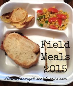 First Meal 2015 Farmers Meals, Farm Meals, Harvest Meals, Farmer Recipes, Field Meals, Ham Sandwiches, Harvest Recipes, Quick Lunch, Work Lunch