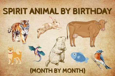 How to Identify Your Spirit Animal by Birthday? (Month by Month) Birth Animals By Month, Your Birth Month Your Spirit Animal, Birth Month Animals, Spirit Animal Quiz, Birth Animal, Month Animals, Elephant Shrew, Animal Quiz, Fox Spirit