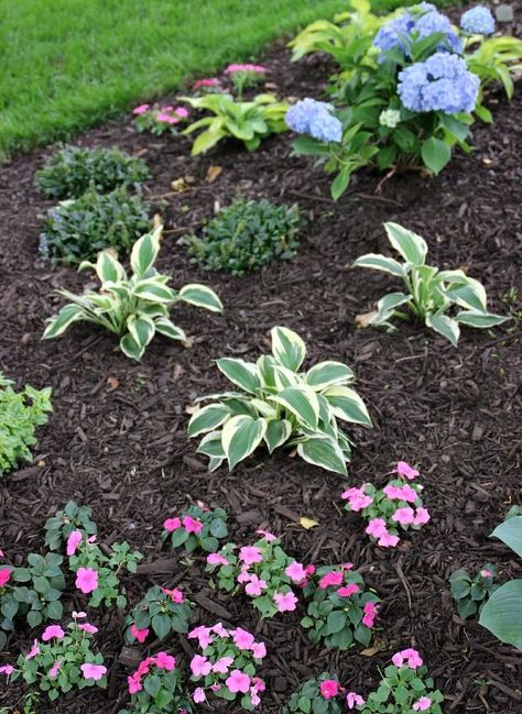 How To Choose And Apply Mulch to Your Flower Beds Areas Verdes, Garden Shrubs, Lawn And Garden, Mulch, Dream Garden, Elle Decor, Yard Landscaping, Landscaping Ideas, Garden And Yard