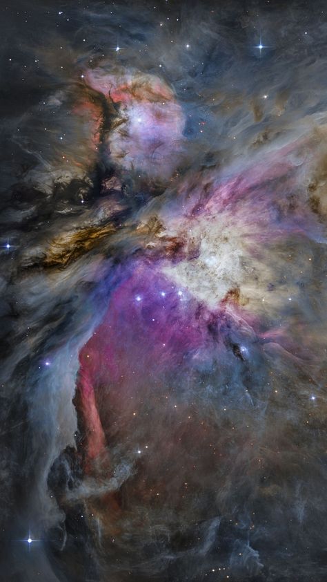 NASA Hubble Space Telescope captured these phenomenal images of space Real Space Images, Nasa Hubble, Orion Constellation, Nasa Photos, Nasa Images, Hubble Images, Orion Nebula, Star Cluster, Space Images