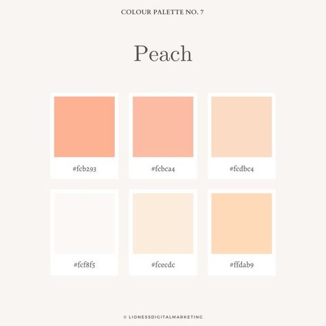 Peach Hex Code, Peach Graphic Design, Peach Branding, Color Palette Peach, Peach Colour Palette, Peach Color Palette, Procreate Inspiration, Colour Palette Inspiration, Peach Color Palettes