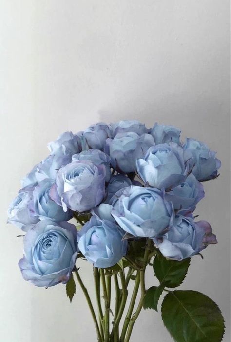 Mavi Aesthetic, Blue Aesthetic Flowers, Luxury Flower Bouquets, Disney Princess Artwork, Baby Blue Aesthetic, Vintage Flowers Wallpaper, Light Blue Aesthetic, Blue Aesthetic Pastel, Rosé Aesthetic