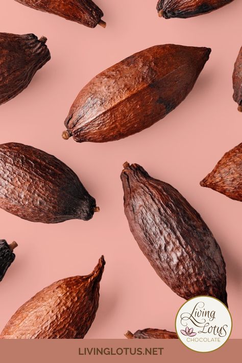 Cacao beans are pretty niftyand they go through a lot to become a chocolate barWe make bean-to-bar chocolatewhich means we make the purest form of chocolate straight from cacao beans within the walls of our own chocolate studioAll our products are vegangluten-freeand refined sugar-free. Cacao Photography, Chocolate Moodboard, Chocolate Salami Recipe, Chocolate Poster, Chocolate Bean, Chocolate Product, Bean To Bar Chocolate, Chocolate Walls, Ginger Chocolate