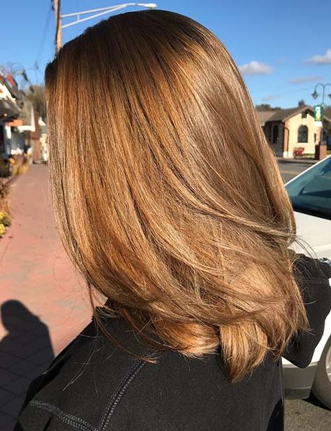 20 Gorgeous Light Brown Hair Color Ideas Honey Golden Brown Hair, Golden Brown Hair Dye, Light Golden Brown Hair, Golden Brown Hair Color, Golden Brown Hair, Brown Hair Shades, Honey Brown Hair, Brown Hair Dye, Hair Color Light Brown