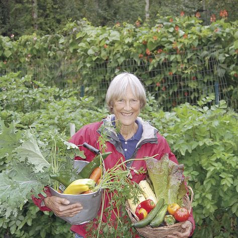 Alaskans find sustenance in a homegrown diet Growing Winter Squash, Alaska Life, Cheap Chicken Coops, Garden Bench Diy, Indoor Vegetable Gardening, Video Garden, Garden Veggies, Living Off The Land, Backyard Lighting